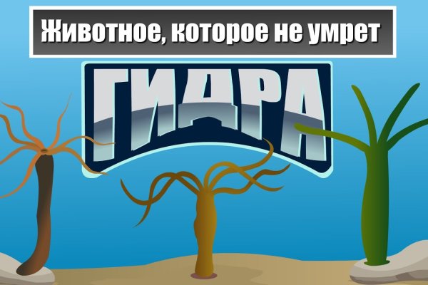 Кракен даркнет войти