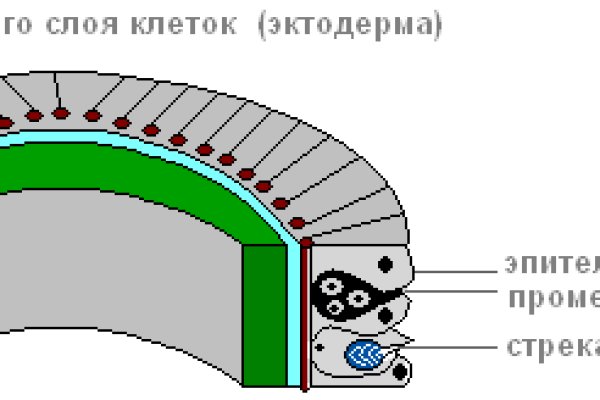 Кракен оф сайт