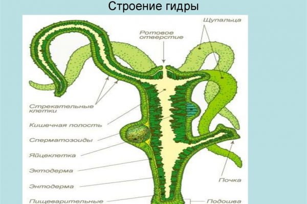 Ссылка на кракен в тор